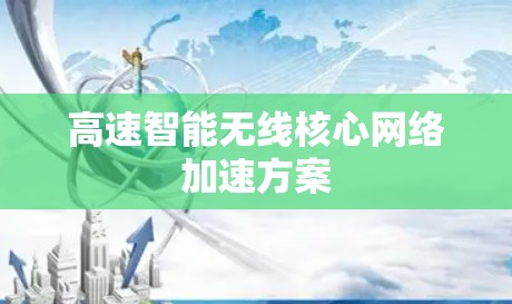 高速智能无线核心网络加速方案 高速智能无线核心网络加速方案