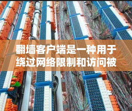 翻墙客户端是一种用于绕过网络限制和访问被限制访问的网站或内容的工具。以下是一些常见翻墙客户端的使用方法，但请注意，使用此类工具可能涉及法律和道德问题，建议遵守相关法律法规，并尊重网络使用规定