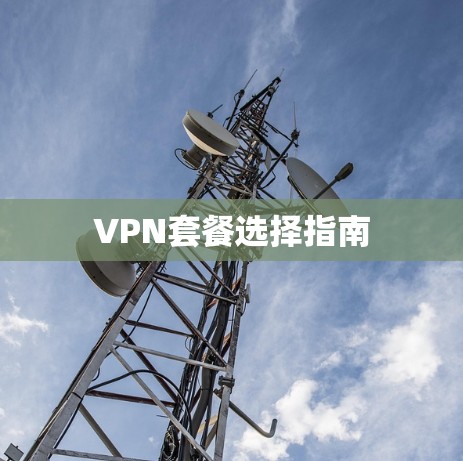 VPN套餐选择指南 VPN套餐选择指南
