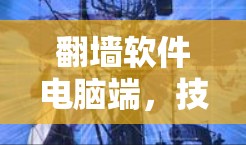 翻墙软件电脑端,技术与应用全解析 翻墙软件电脑端,技术与应用全解析