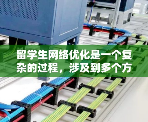 留学生网络优化是一个复杂的过程，涉及到多个方面，包括网络连接速度、稳定性、安全性以及适应性。以下是一些针对留学生网络优化的建议和策略