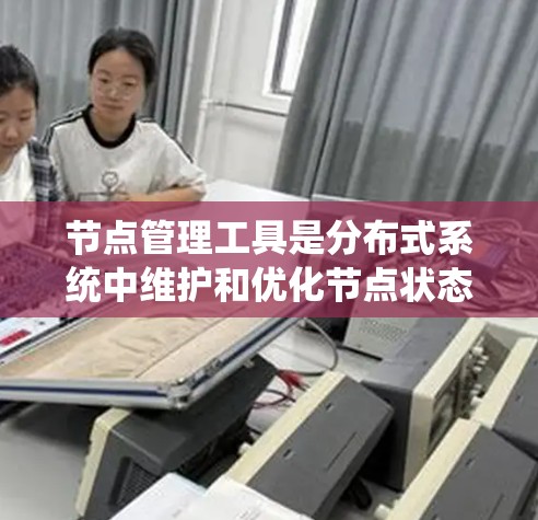 节点管理工具是分布式系统中维护和优化节点状态、配置和性能的关键工具。为了帮助您理解和选择合适的节点管理工具，以下是对该领域的详细分类和总结