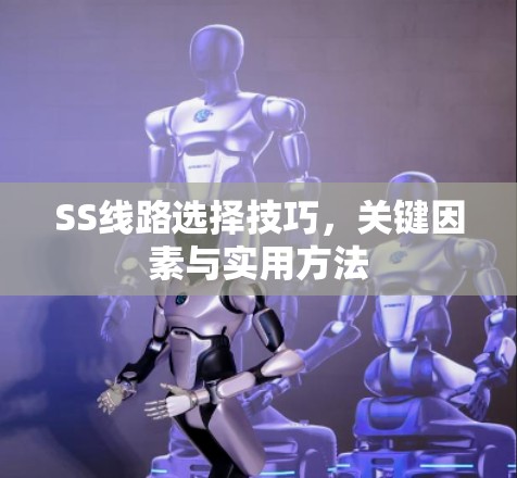 SS线路选择技巧，关键因素与实用方法