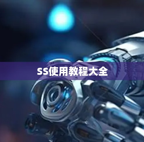 SS使用教程大全