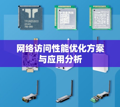 网络访问性能优化方案与应用分析 网络访问性能优化方案与应用分析