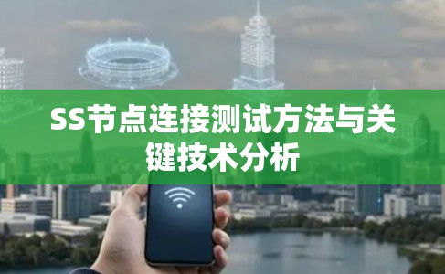 SS节点连接测试方法与关键技术分析