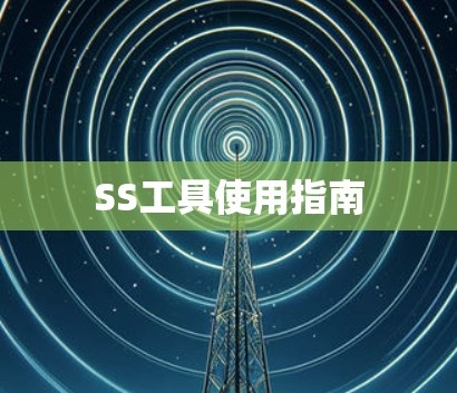 SS工具使用指南