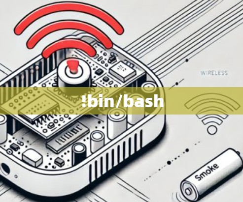 !bin/bash