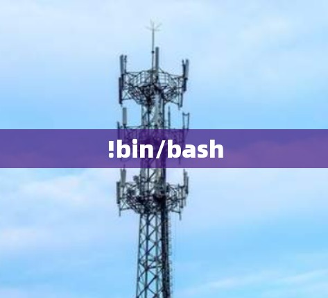 !bin/bash