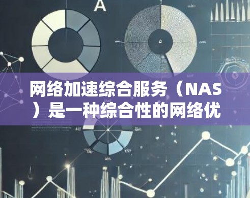 网络加速综合服务（NAS）是一种综合性的网络优化解决方案，旨在通过多种技术手段提升网络性能，优化数据传输效率，改善用户体验。以下是对NAS的详细分析和总结