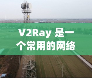 V2Ray 是一个常用的网络代理工具，可以帮助用户绕过网络限制，访问更多资源。以下是连接 V2Ray 节点的基本教程