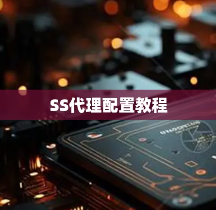 SS代理配置教程