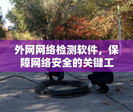 外网网络检测软件，保障网络安全的关键工具