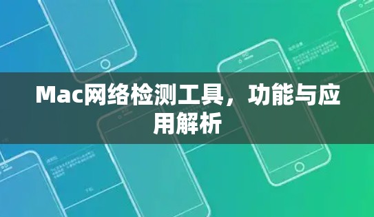 Mac网络检测工具，功能与应用解析