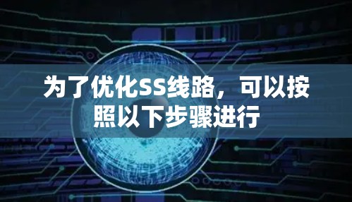 为了优化SS线路,可以按照以下步骤进行 为了优化SS线路,可以按照以下步骤进行