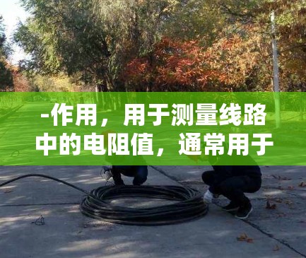 -作用,用于测量线路中的电阻值,通常用于检测断开点或短路情况 -作用,用于测量线路中的电阻值,通常用于检测断开点或短路情况