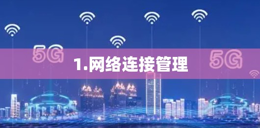 1.网络连接管理 1.网络连接管理