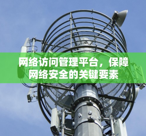 网络访问管理平台,保障网络安全的关键要素 网络访问管理平台,保障网络安全的关键要素