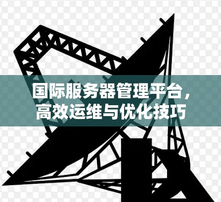 国际服务器管理平台，高效运维与优化技巧