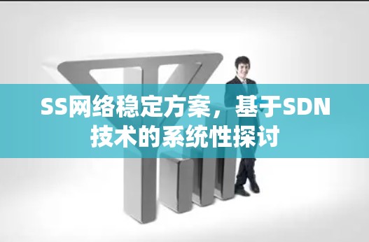 SS网络稳定方案,基于SDN技术的系统性探讨 SS网络稳定方案,基于SDN技术的系统性探讨
