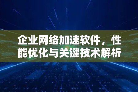企业网络加速软件,性能优化与关键技术解析 企业网络加速软件,性能优化与关键技术解析
