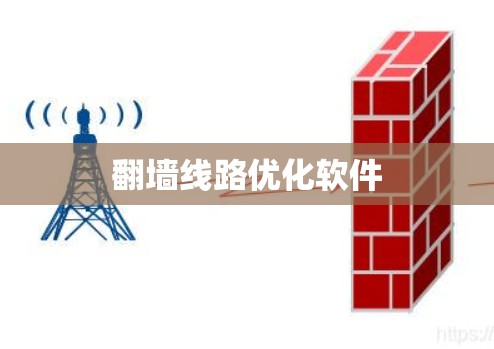 翻墙线路优化软件