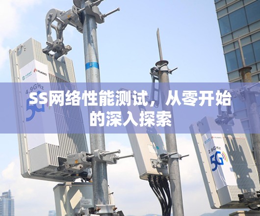 SS网络性能测试,从零开始的深入探索 SS网络性能测试,从零开始的深入探索