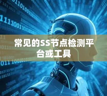 常见的SS节点检测平台或工具