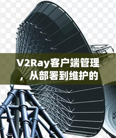 V2Ray客户端管理,从部署到维护的全套指南 V2Ray客户端管理,从部署到维护的全套指南