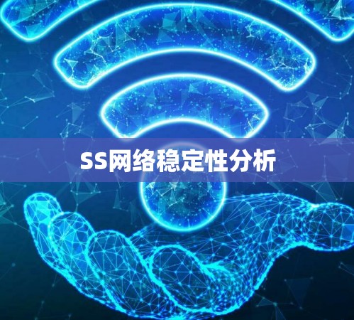 SS网络稳定性分析