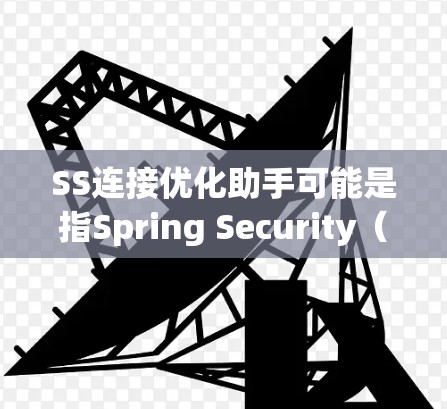 SS连接优化助手可能是指Spring Security（SS）连接优化助手，这可能涉及到在Spring Security框架中优化数据库连接或API连接的问题。以下是一些可能的优化步骤和建议