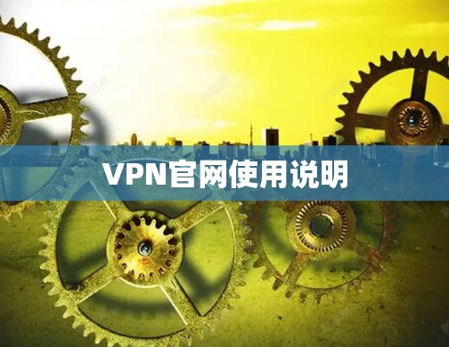 VPN官网使用说明