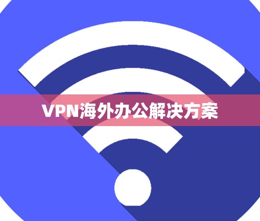 VPN海外办公解决方案 VPN海外办公解决方案
